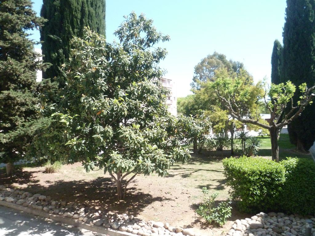 Appartement T3 HYERES (83400) COSTABELLA SARL